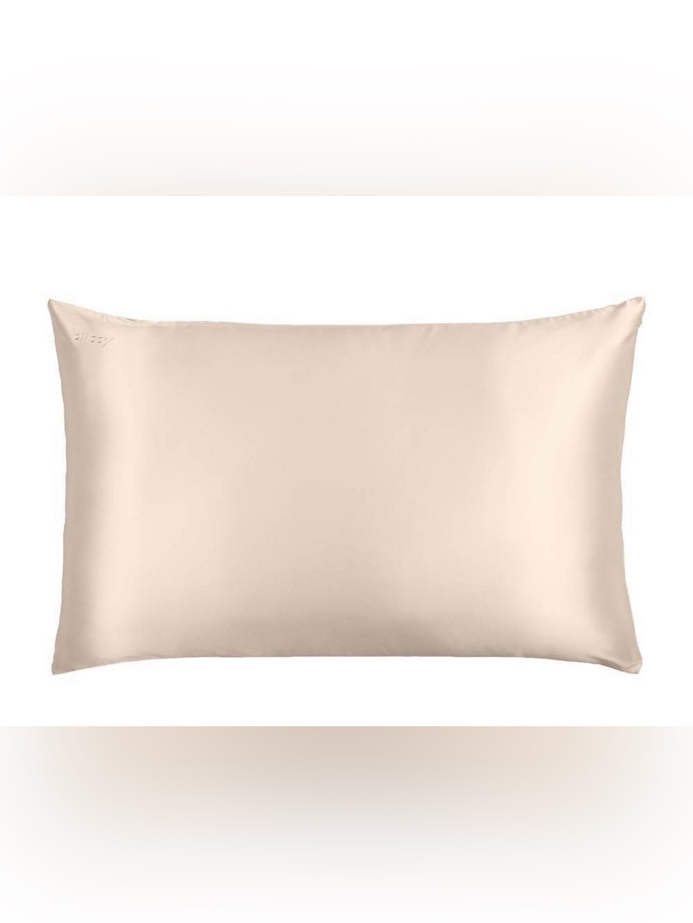 Blissy Standard/Queen 600 Thread Count Silk Pillowcase- Natural Beige